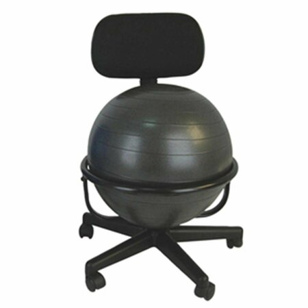 CANDO INTERNATIONAL Mobile Metal Ball Chair with 22 in. Ball with Back CanDo-30-1790